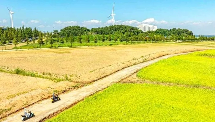 대부바다향기테마파크 산책로 / 사진=한국관광콘텐츠랩