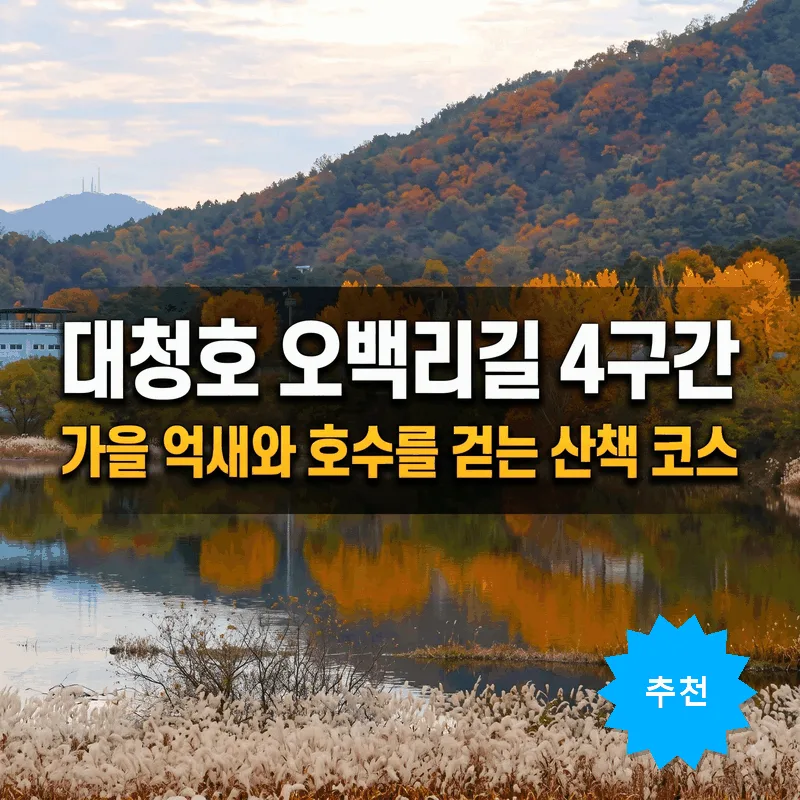 대청호 오백리길 4구간 가을 억새와 호수를 걷는 산책 코스