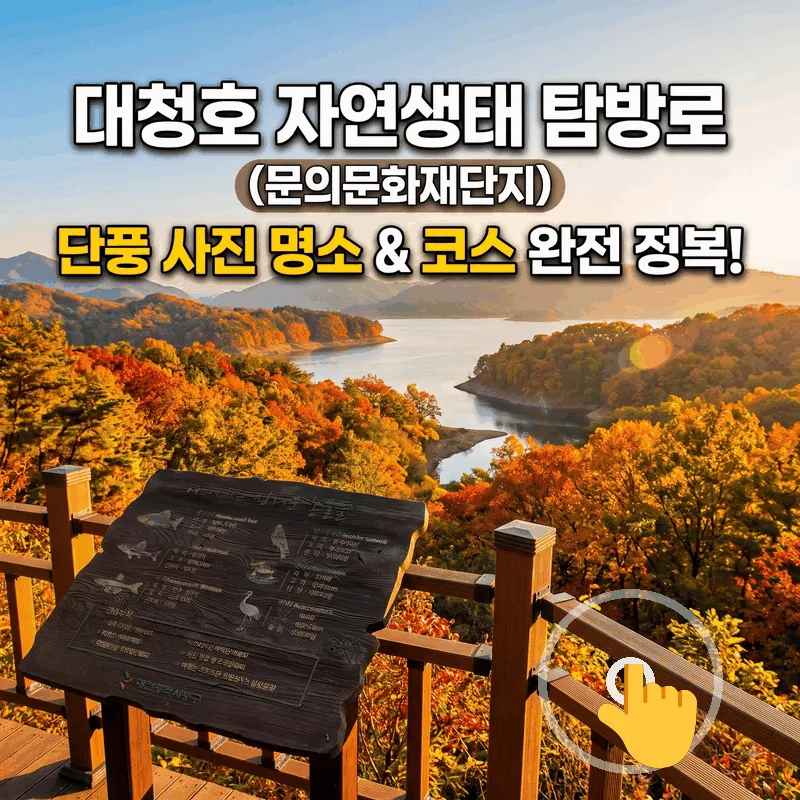 대청호반 자연생태길(문의문화재단지) 단풍 사진 명소와 동선 완벽 가이드