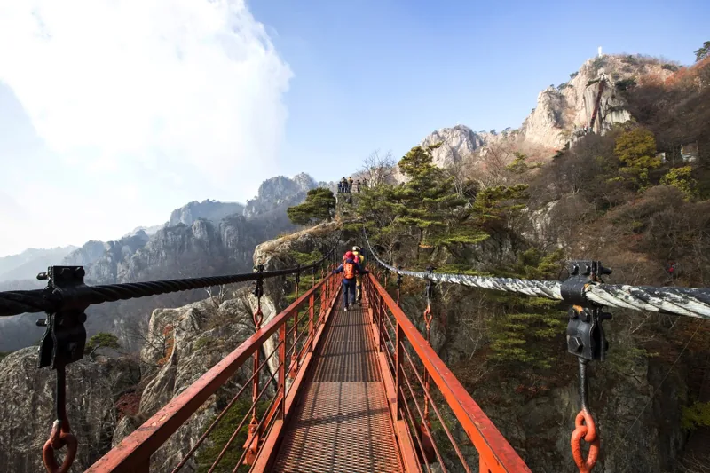 대둔산