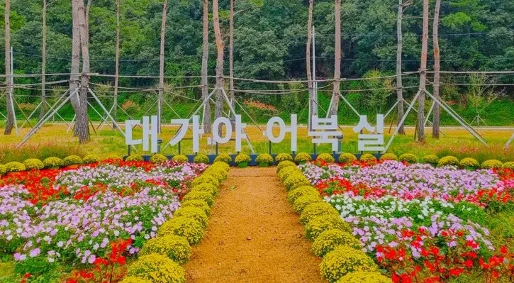대가야 어북실 / 사진=경북나드리