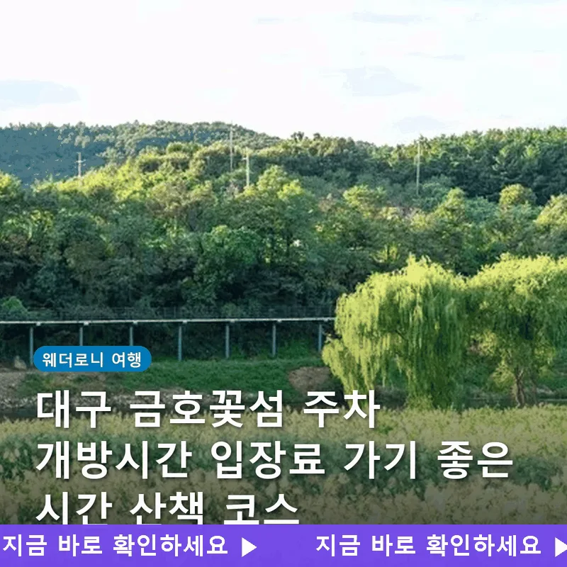 대구 금호꽃섬 주차 개방시간 입장료 가기 좋은 시간 산책 코스