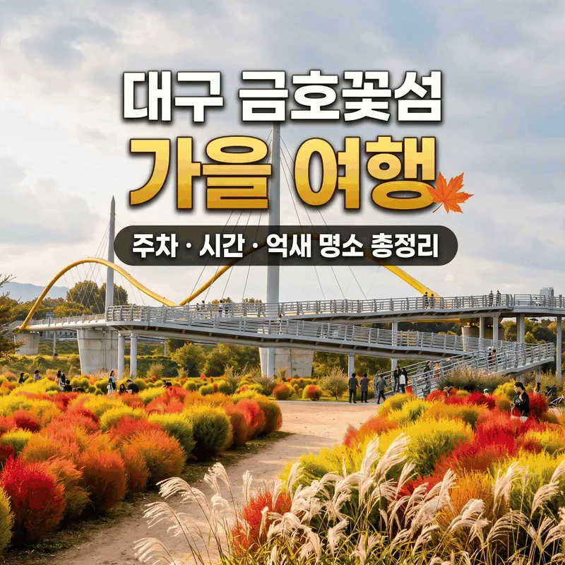 대구 금호꽃섬 가을 여행 주차 시간 억새 명소 총정리