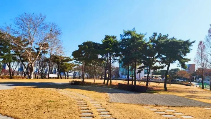 해맞이공원 / 사진=대구광역시 공식 블로그 김영주