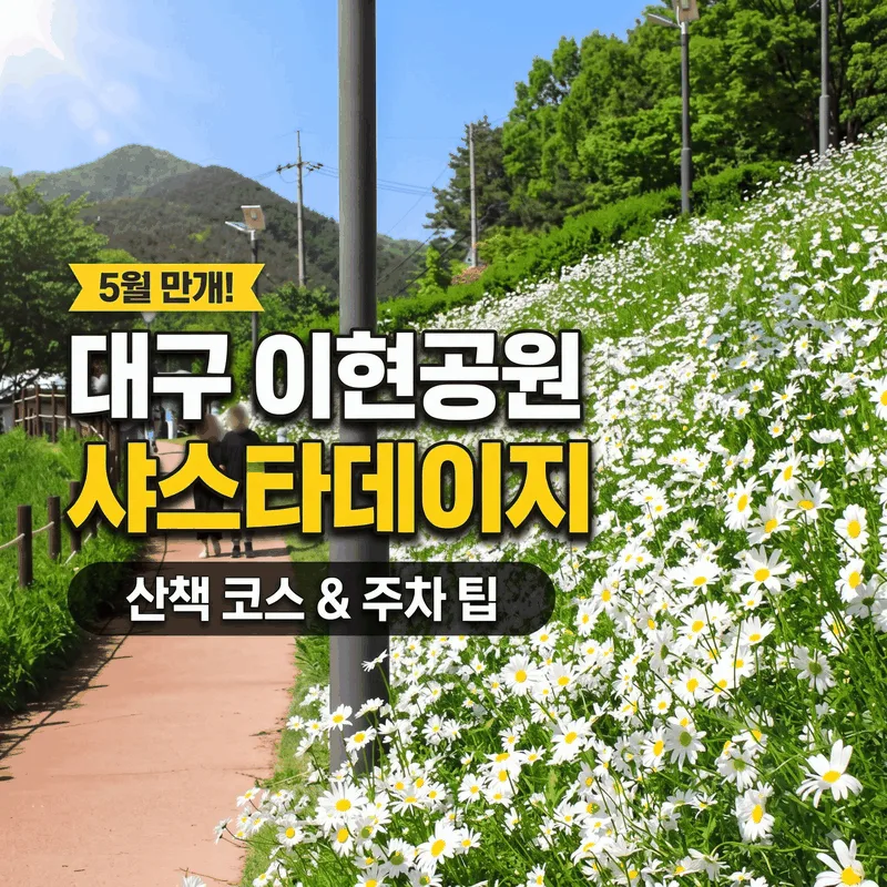 대구 이현공원 샤스타데이지 만개한 5월 산책 코스와 주차 팁