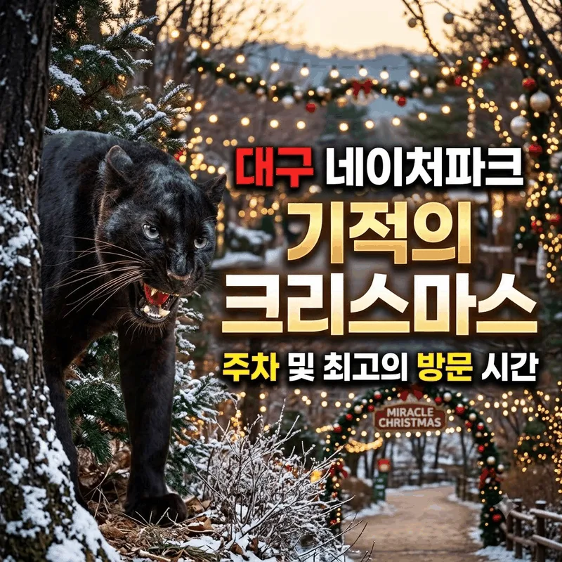 대구 네이처파크 미라클 크리스마스 주차와 가기 좋은 시간