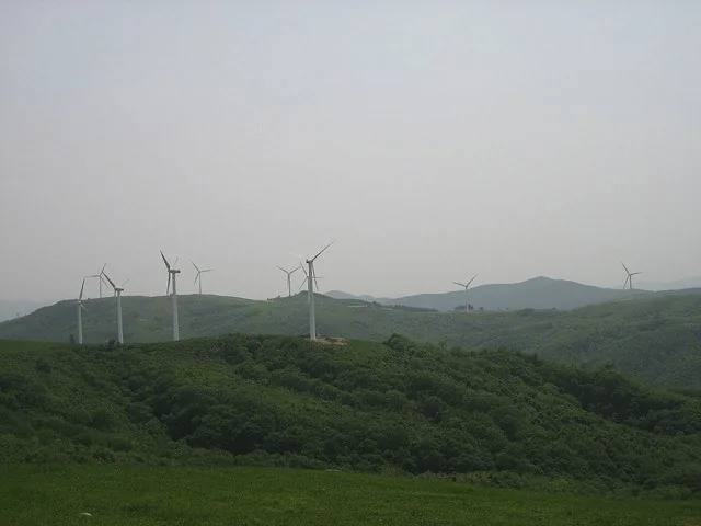 대관령3