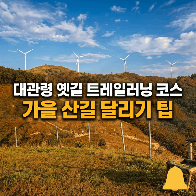 대관령 옛길 트레일러닝 코스 가을 산길 달리기 팁