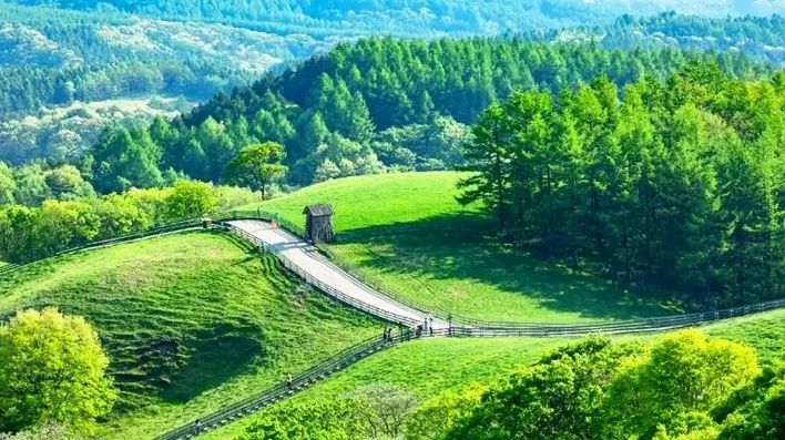 대관령양떼목장 풍경 / 사진=평창문화관광