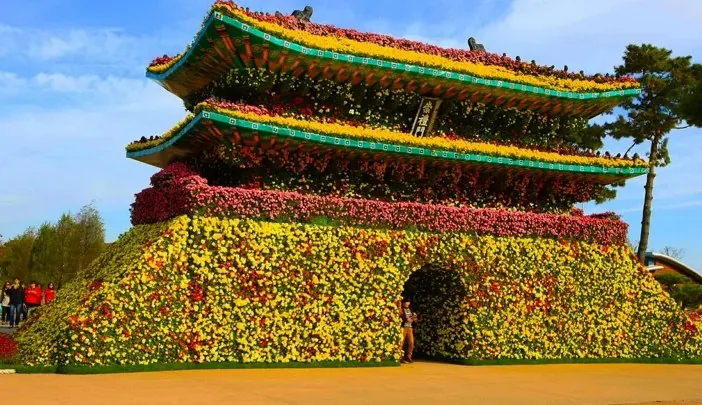 함평 국향대전 축제 / 사진=ⓒ한국관광공사 김지호