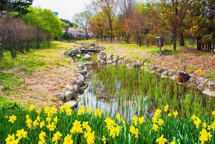 대전 한밭수목원 / 사진=한국관광공사 김지호