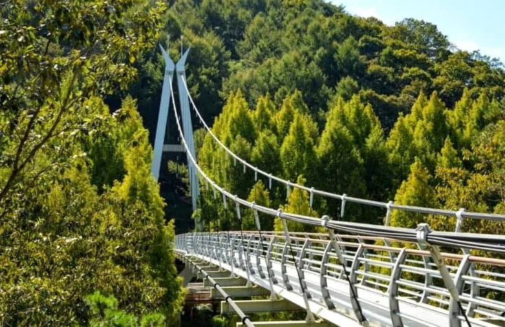 대전 장태산 출렁다리 / 사진=한국관광공사 송재근