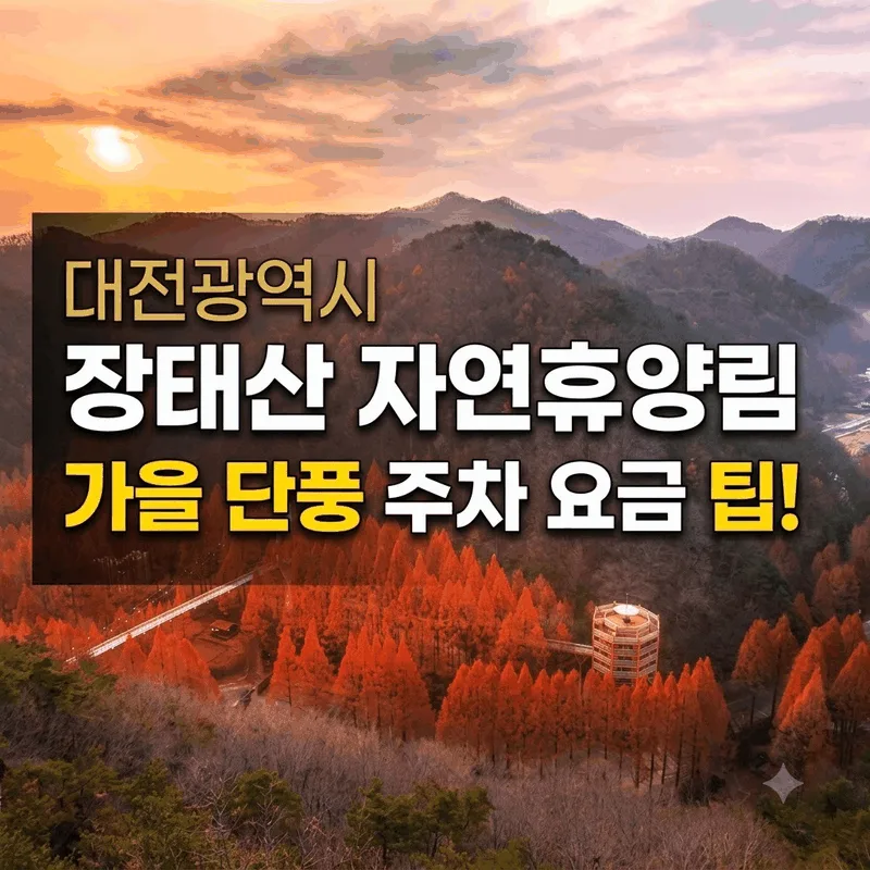 대전광역시 장태산자연휴양림 가을 단풍 주차 요금 팁