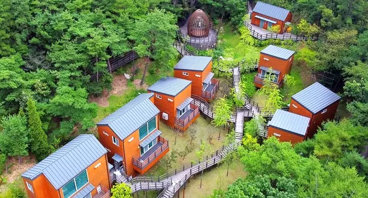국립대전숲체원 / 사진=국립대전숲체원