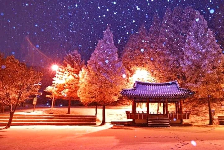 길치문화공원 겨울 야경 / 사진=공공누리 대전광역시