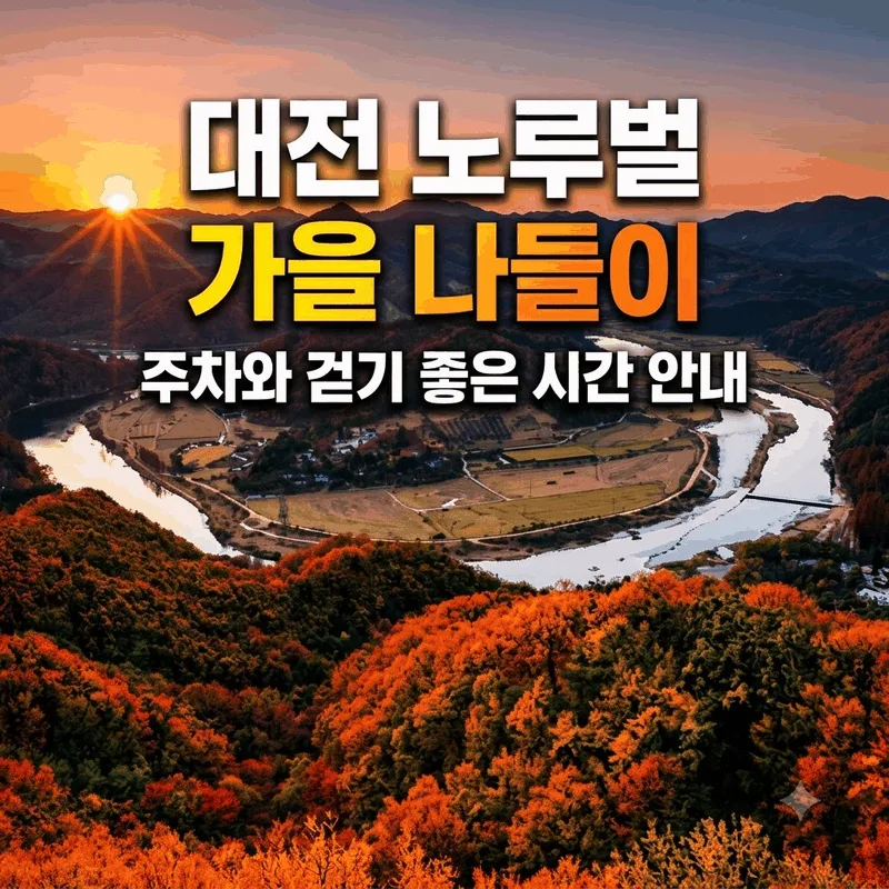 대전 노루벌 가을 나들이 주차와 걷기 좋은 시간 안내