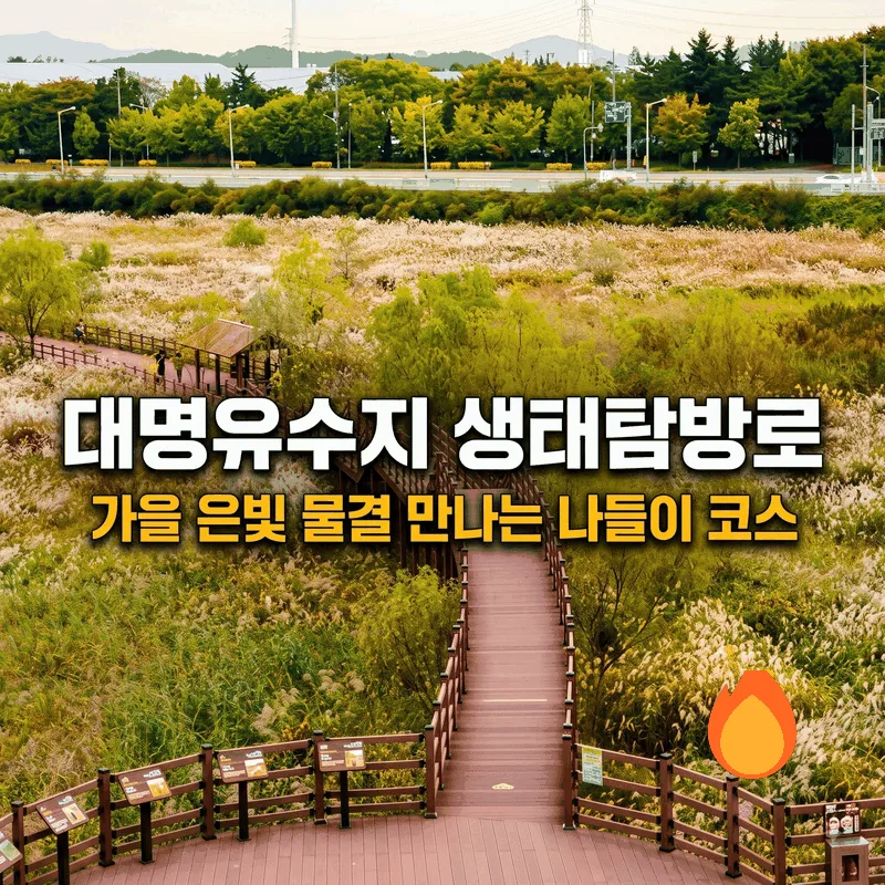 대명유수지 생태탐방로 가을 은빛 물결 만나는 나들이 코스