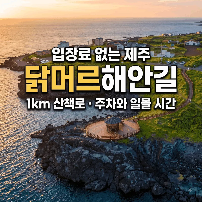 입장료 없는 제주 닭머르해안길, 1km 산책로 주차와 일몰 시간