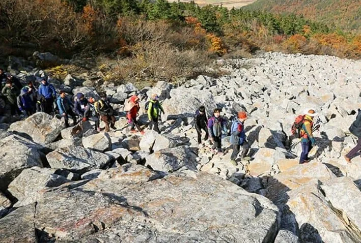 해남 달마고도 걷기 행사 / 사진=해남군