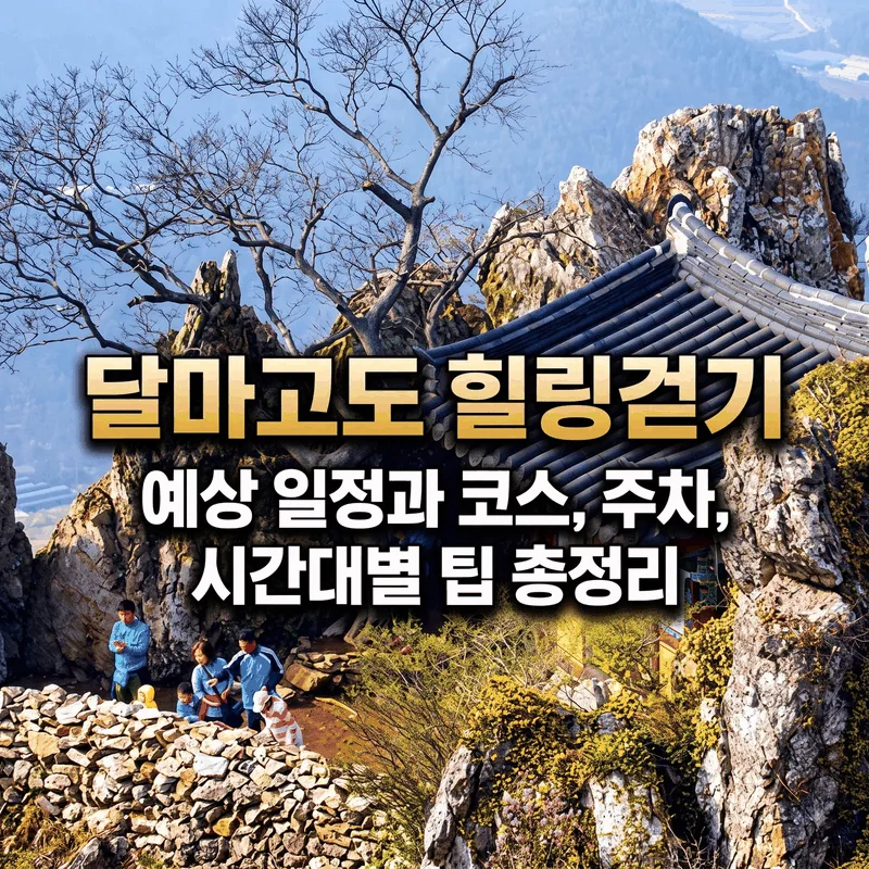 달마고도 힐링걷기 예상 일정과 코스, 주차, 시간대별 팁 총정리