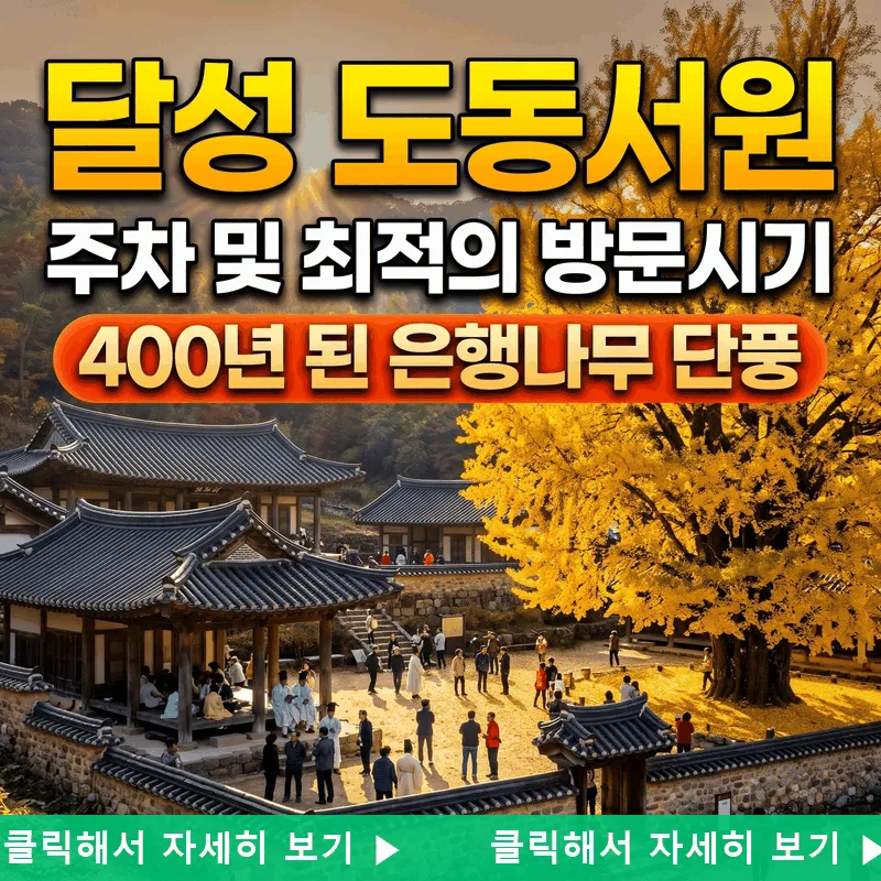 달성 도동서원 주차와 가기 좋은 시간, 400년 은행나무 단풍