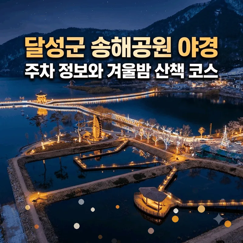 달성군 송해공원 야경 주차 정보와 겨울밤 산책 코스
