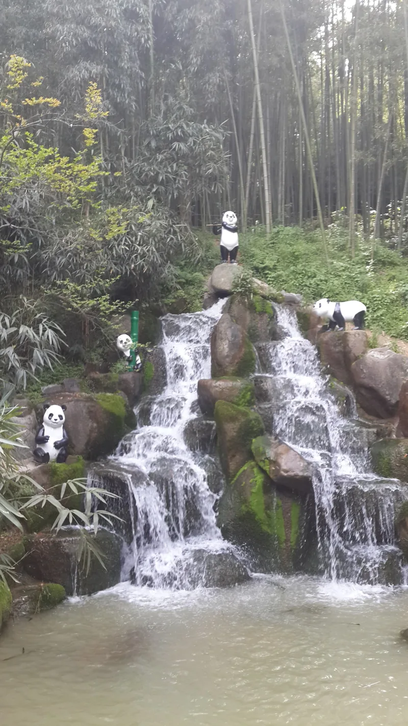 Bamboo forest in Damyang South Korea 2015-05-06(3)