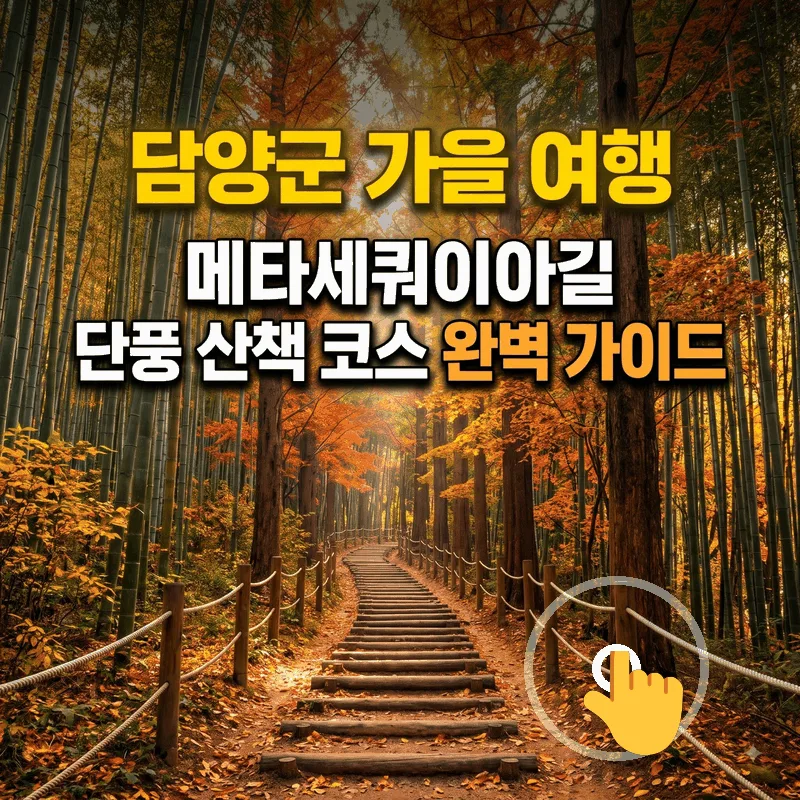 담양군 가을 여행 메타세쿼이아길 단풍 산책 코스 완벽 가이드