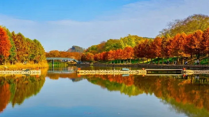 관방제림 전경 / 사진=게티이미지뱅크