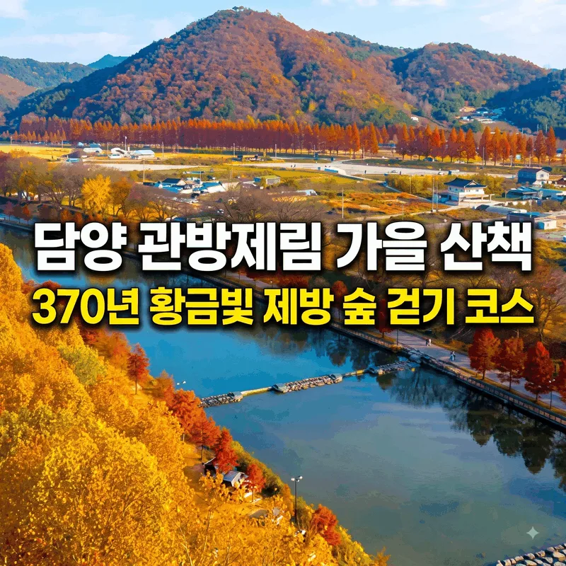 담양 관방제림 가을 산책, 370년 황금빛 제방 숲 걷기 코스
