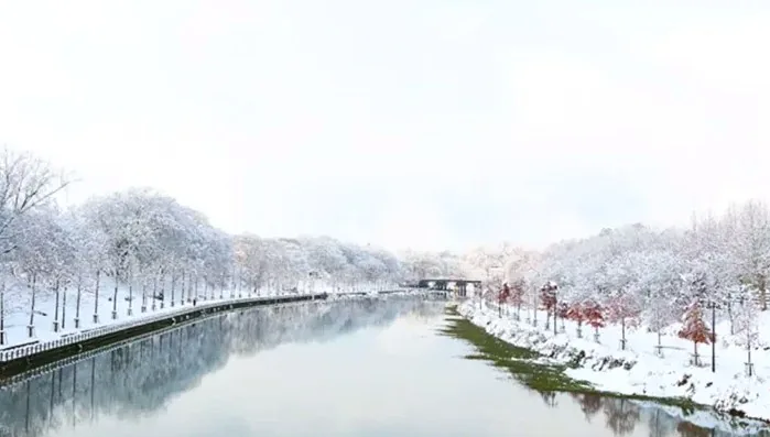 담양 관방제림 전경 / 사진=담양군 공식 블로그