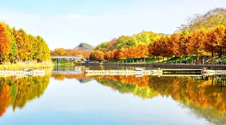 담양 관방제림 가을 / 사진=게티이미지뱅크