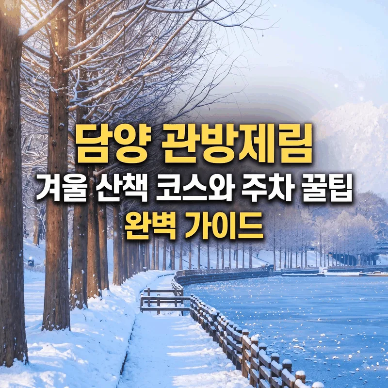 담양 관방제림 겨울 산책 코스와 주차 꿀팁 완벽 가이드
