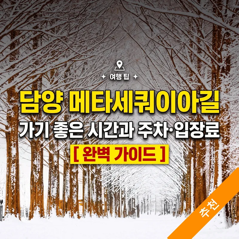 담양 메타세쿼이아길 가기 좋은 시간과 주차 입장료 완벽 가이드