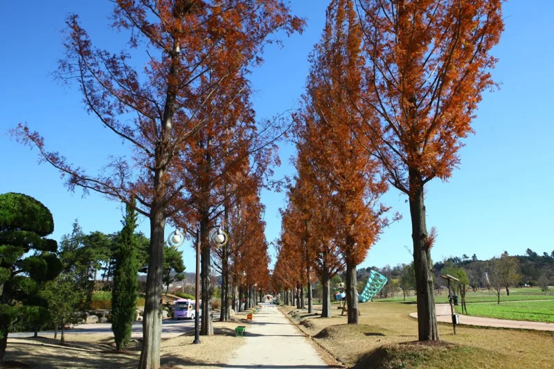 순천만국가정원