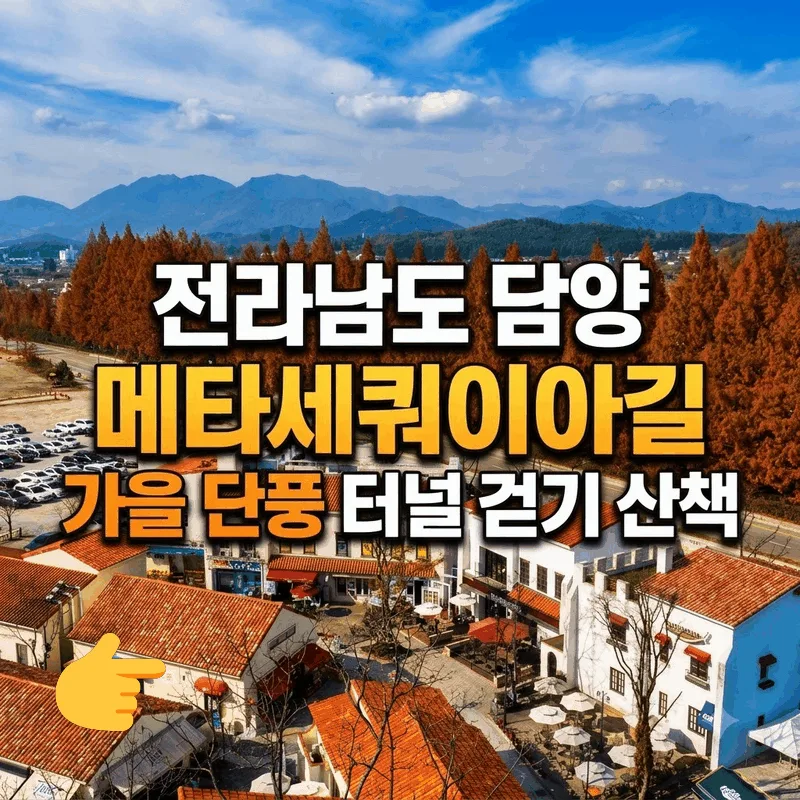 전라남도 담양 메타세쿼이아길 가을 단풍 터널 걷기 산책