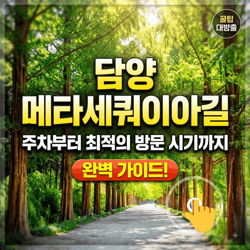담양 메타세쿼이아길 주차부터 가기 좋은 시간 완벽 정리