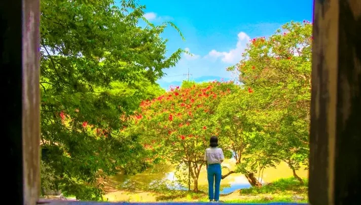 담양 명옥헌 원림 풍경 / 사진=한국관광콘텐츠