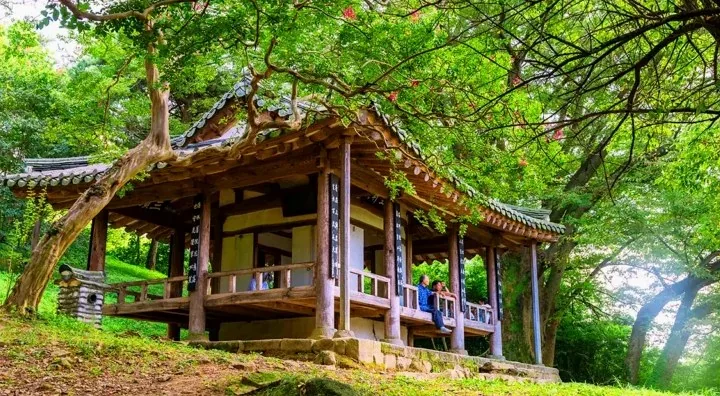 담양 명옥헌 원림 모습 / 사진=한국관광콘텐츠랩