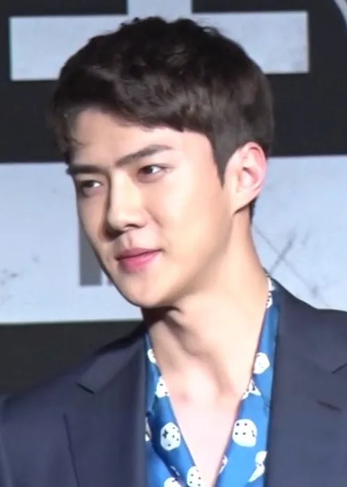 '비주얼 탐정' 엑소 세훈, 세상에서 가장 완벽한 외모의 탐정 EXO SEHUN (디패짤)