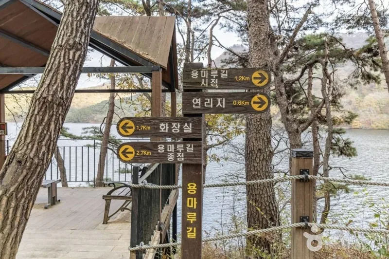 담양 용마루길