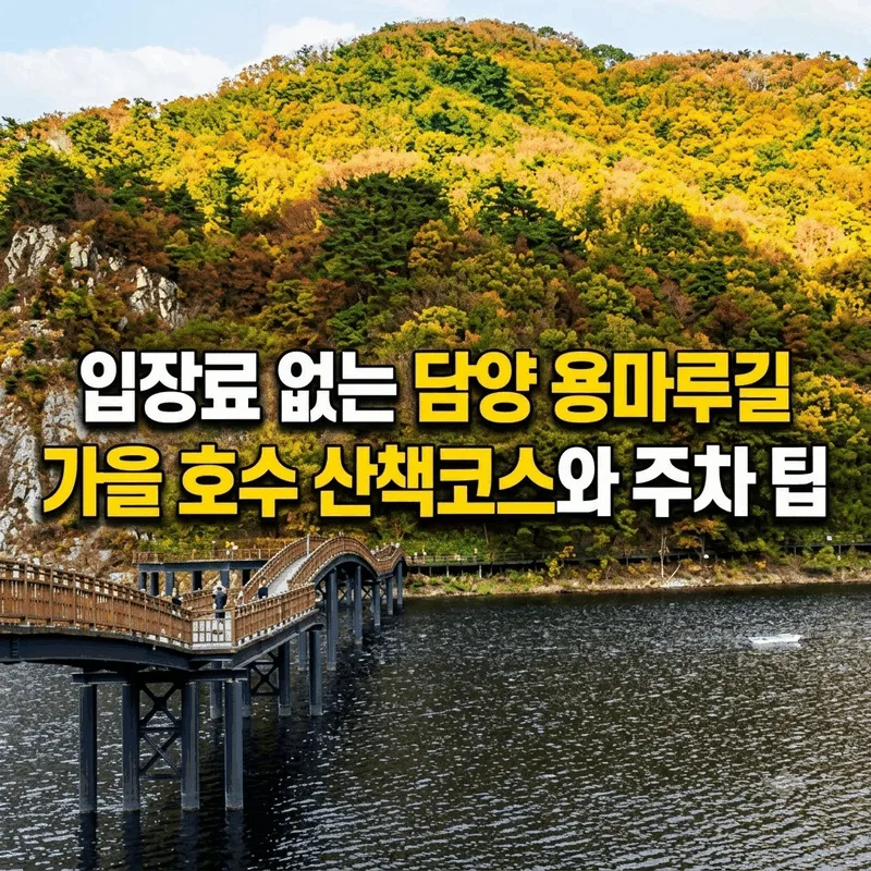 입장료 없는 담양 용마루길, 가을 호수 산책 코스와 주차 팁