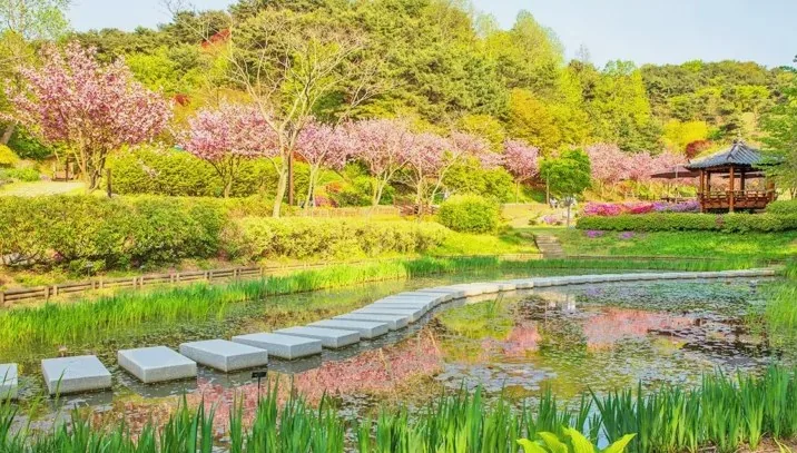 삼선산수목원 풍경 / 사진=게티이미지뱅크