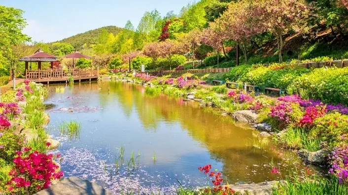 삼선산수목원 봄 풍경 / 사진=게티이미지뱅크