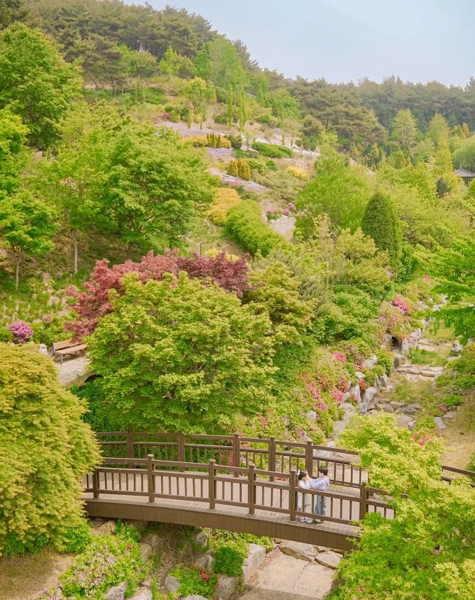 삼선산수목원 상세이미지4
