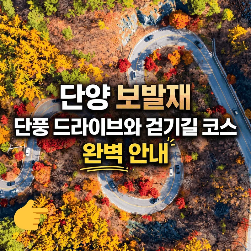 단양 보발재 단풍 드라이브와 걷기길 코스 완벽 안내