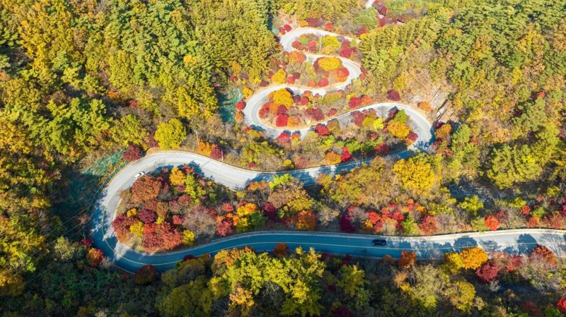 단양 보발재
