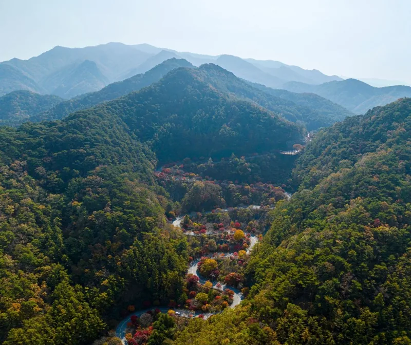 단양 보발재