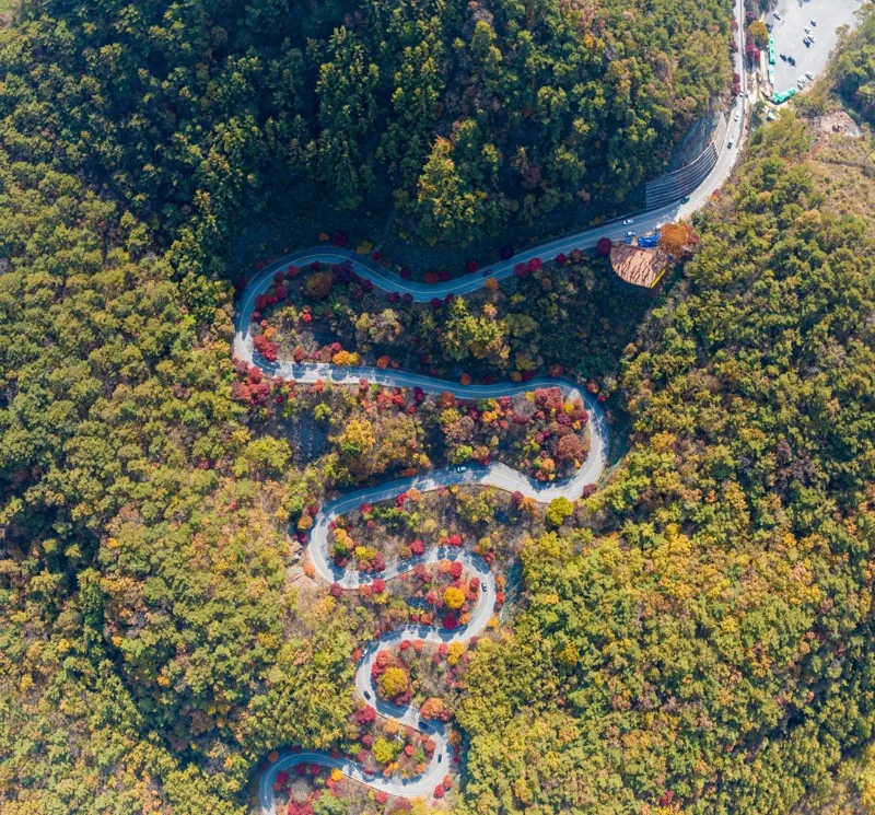 단양 보발재