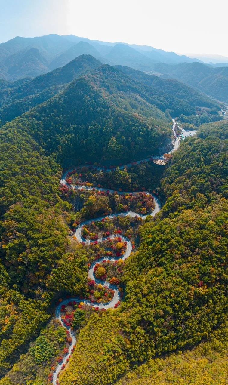 단양 보발재